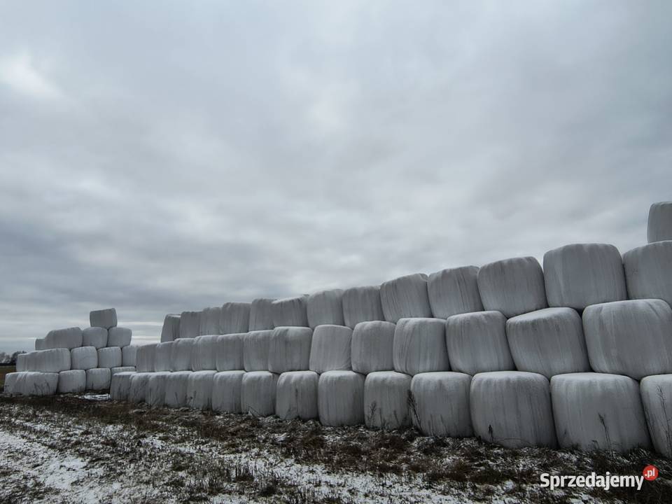 Siano i sianokiszonkę Koniecpol