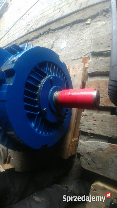 Silnik elektryczny 37 kW GRUNDFOS 3 fazowy wałek Rudno Dolne