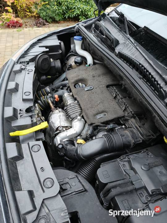 Citron C3 16 HDi Exclusive Małowice