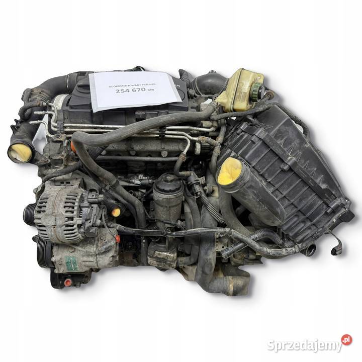 SILNIK BLS Skoda Fabia II Roomster VW Caddy III Chełm