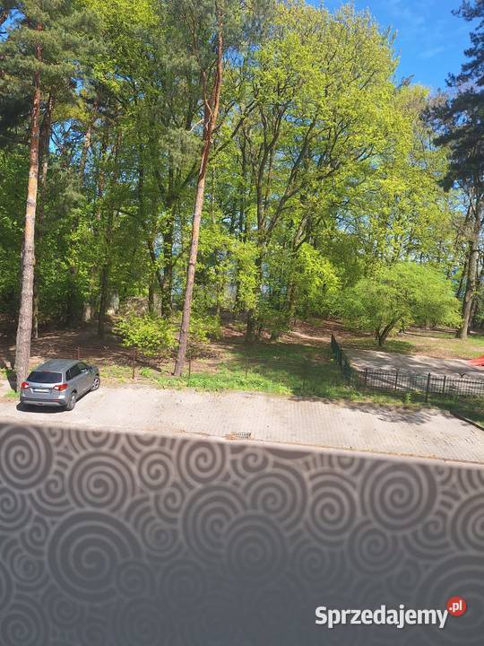 Syndyk sprzeda lokal mieszkalny w Gdyni Babie Gdynia