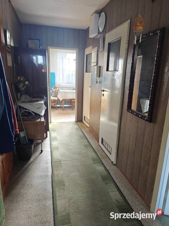 Gubin mieszkanie 2 pokojowe 4580 m2 oddzielna