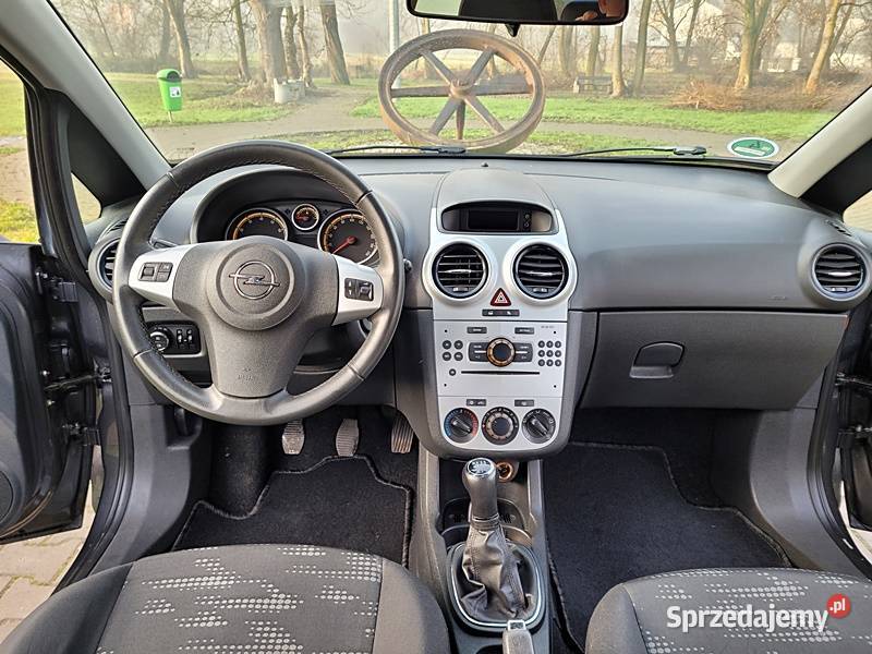 Godny polecenia benzyniaczek małopolskie Słomniki