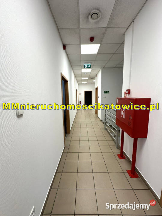 Magazyn do wynajęcia z regałami Katowice A4 Wynajem