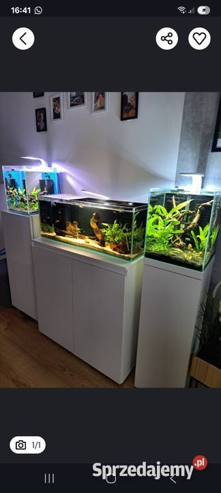 Akwarium z szafką i akwarium kostka Siechnice