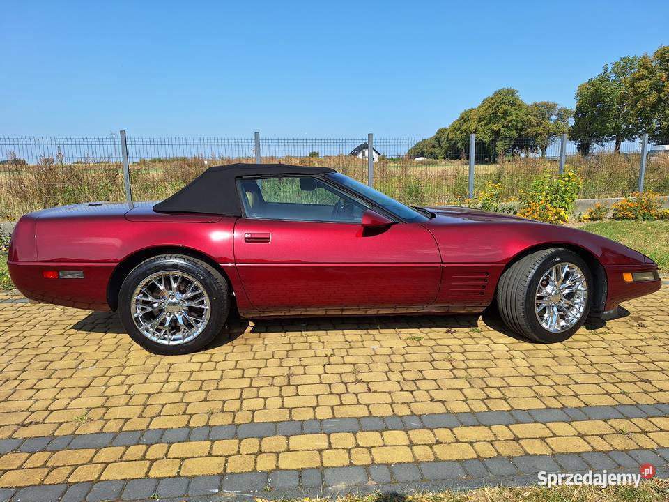 1992 Chevrolet Corvette C4 LT1 5700cm3 Świecie