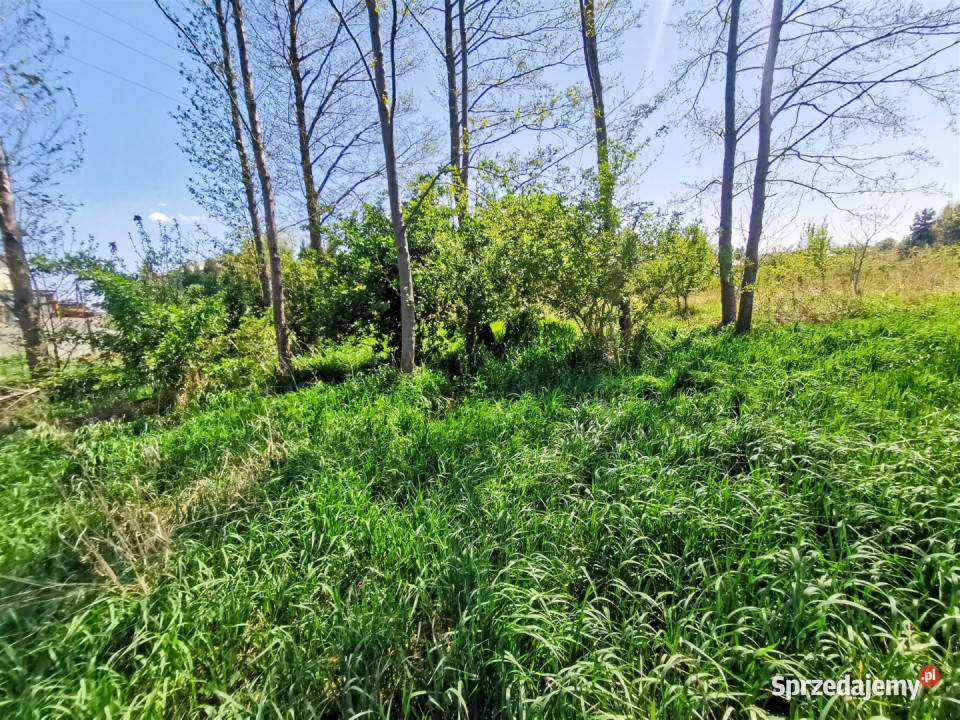 sprzedaży gruntu Złoczew 1254m2