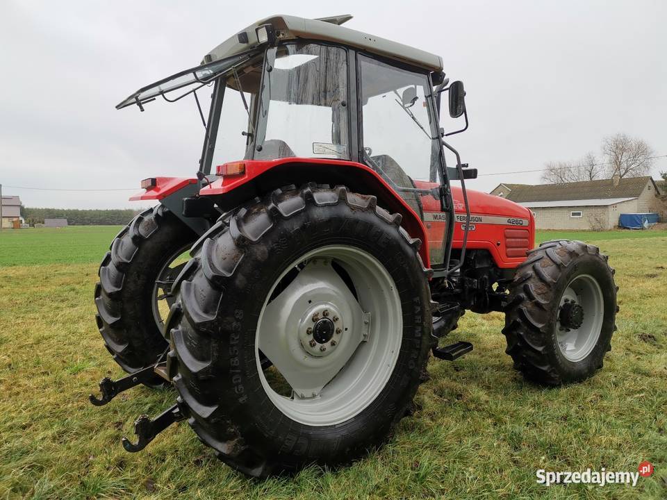 Massey ferguson 4260 wielkopolskie Dobra