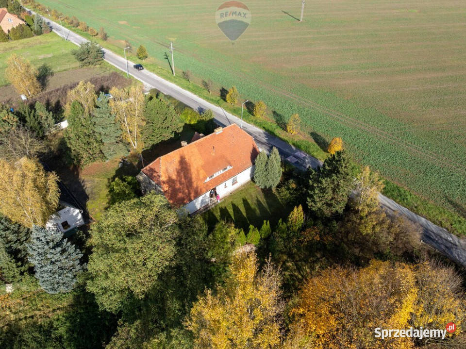 Piękna działka Sprzedaż wielkopolskie Zborowo