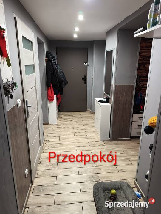 Mieszkanie Prudnik Centrum 82m M4