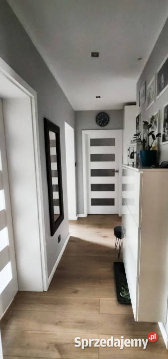 Mieszkanie trzy pokojowe na parterze Opole