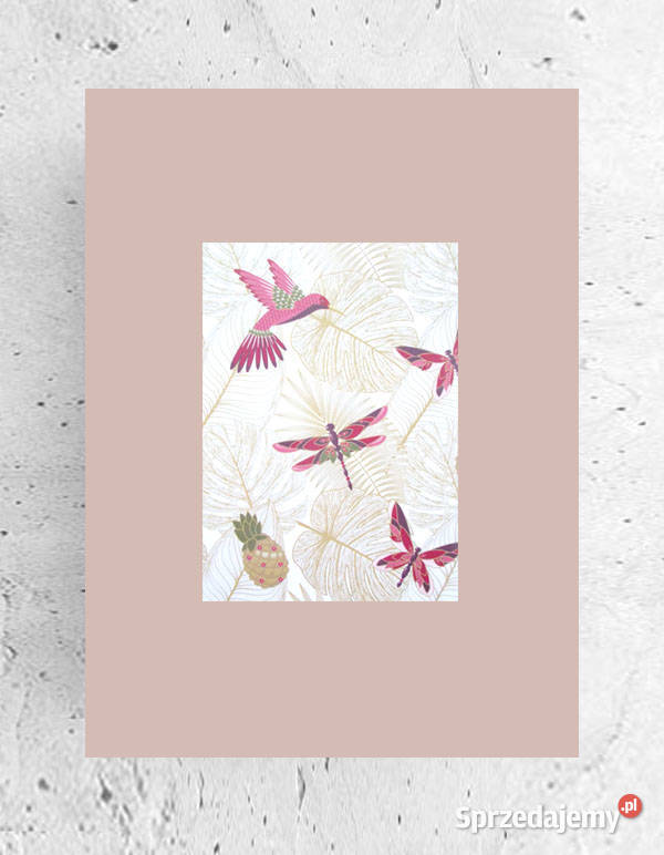 koliber plakat A4 boho obrazek 21x30 ważka Olsztyn