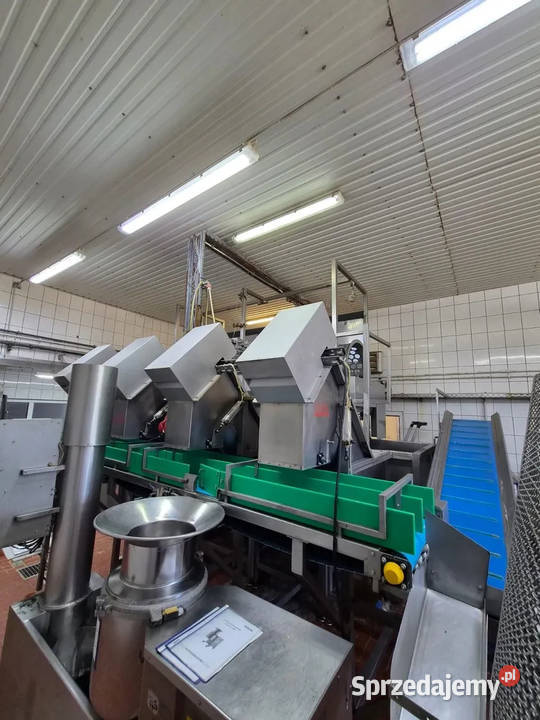 Limas AB Kompleksowa Linia do obróbki warzyw wielkopolskie Krotoszyn