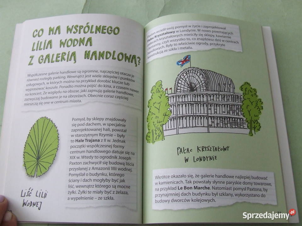 to działa Miasto Jabłoński Książki dla dzieci dolnośląskie