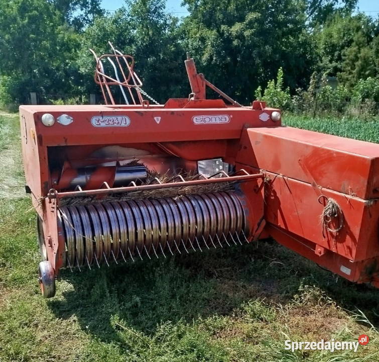 Sprzedam prase kostke Bądkowo