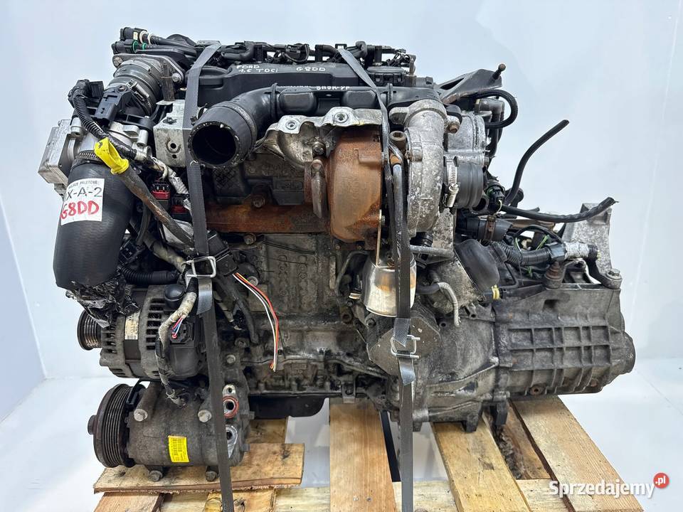 SILNIK KOMPLETNY G8DD Ford Focus II MK2 C C 16 Chełm