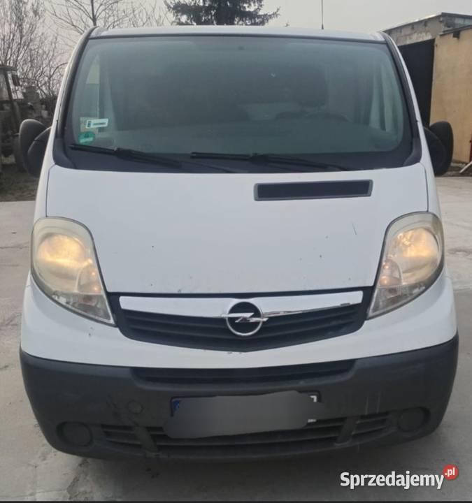 Opel Vivaro 2009 Gniezno