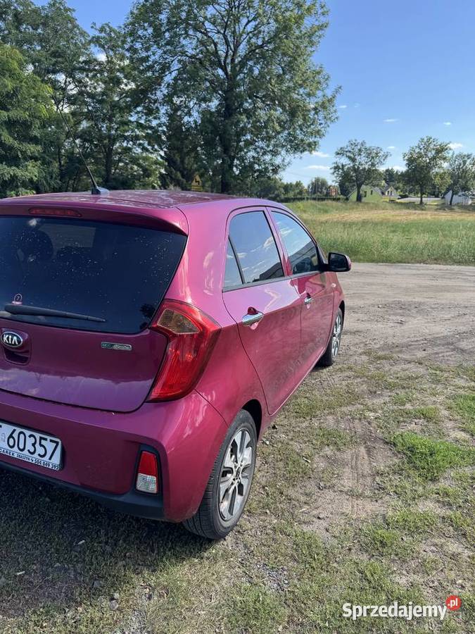 Kia Picanto 10 benzyna 66 2016 109 884 998cm3 Zbąszyń