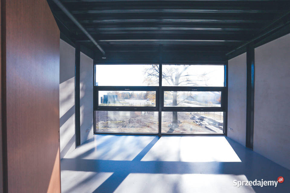 Biuro serwisowane 21 m2 do wynajęcia Lokale użytkowe