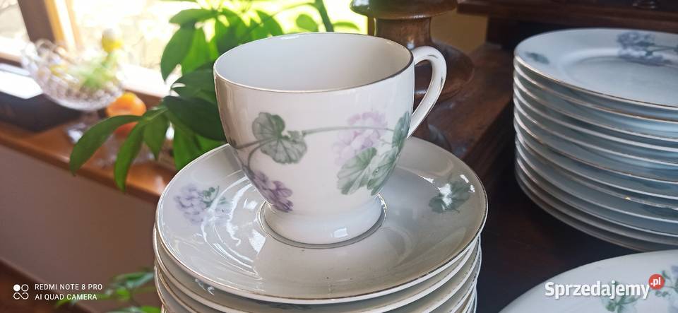 Dzbanek C T Altwasser Germany Hortensje Gdańsk