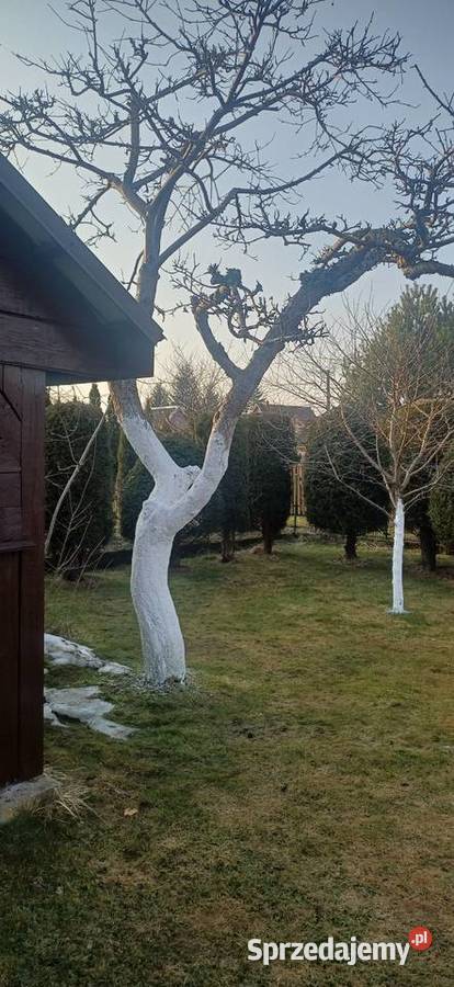 Działka RELAX Ełk sprzedam