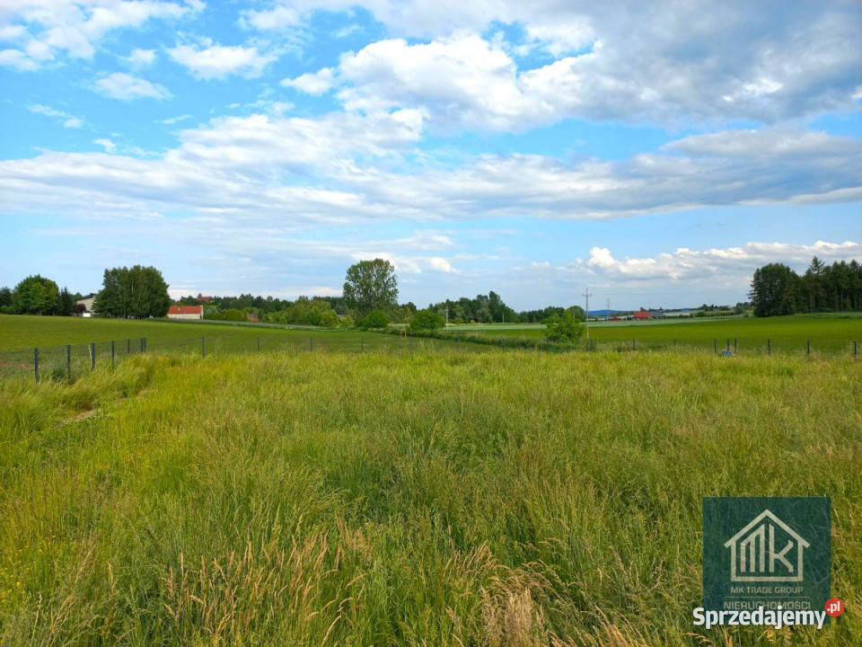 Grunt do sprzedania 1000m2 Dąbrowa