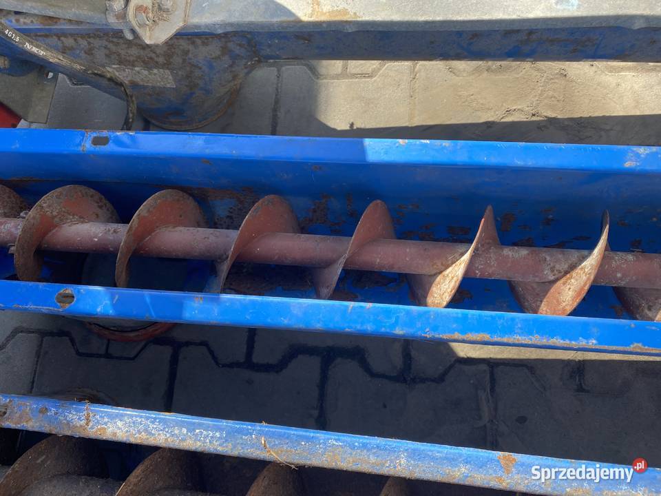 Żmijka korytowa Kongskilde 8m nieuszkodzony Dawidy