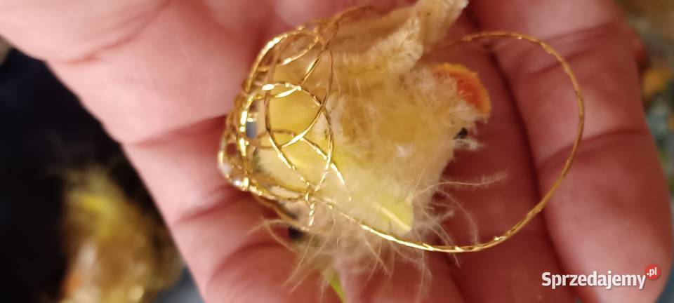 JAJA WIELKANOCNE OZDOBY PRL TEKTUROWE BAJKOWE wielokolorowy Wielkanoc Poznań