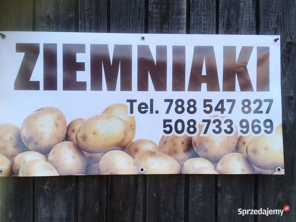 Sprzedam ziemniaki Brzeg sprzedam