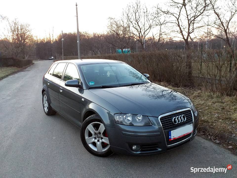fajne doinwestowane Audi A3 Sportback 20Tdi BMM A3 Jaworzno