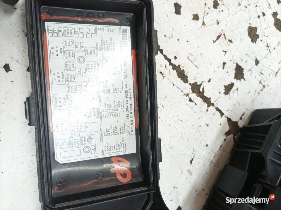 SKRZYNKA BEZPIECZNIKÓW 919503J021 30 D 239 świętokrzyskie