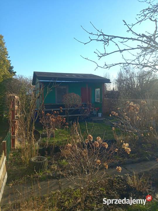 Sprzedam Działkę ROD rekreacyjna Gdańsk