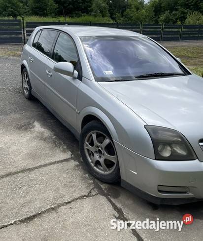 Opel Signum 19 diesel Samochody osobowe Olszyna