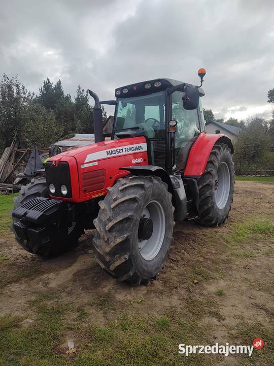 Massey Ferguson 6480 Krasnystaw