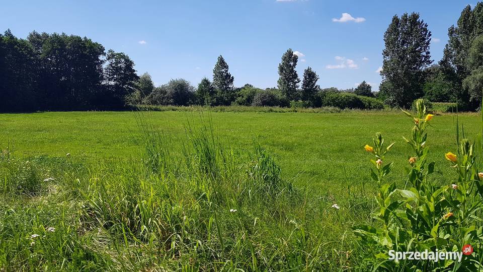 Działka z planem energia i natura czego chcesz