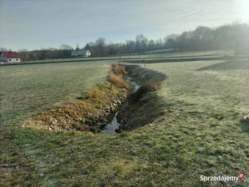 Dom parterowy z dużym ogrodem garażem Gotowy do Sprzedaż