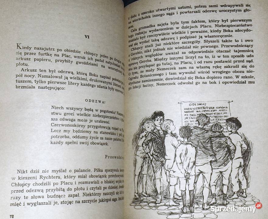 Chłopcy z placu broni Ferenc Molnar Rok wydania 1982 Chełm