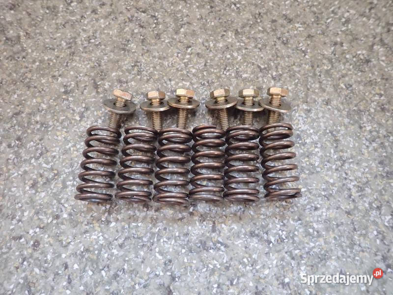 SPRĘŻYNY ŚRUBKI KOSZA SPRZĘGŁA CAGIVA 600 W 16 Strzelce Krajeńskie sprzedam