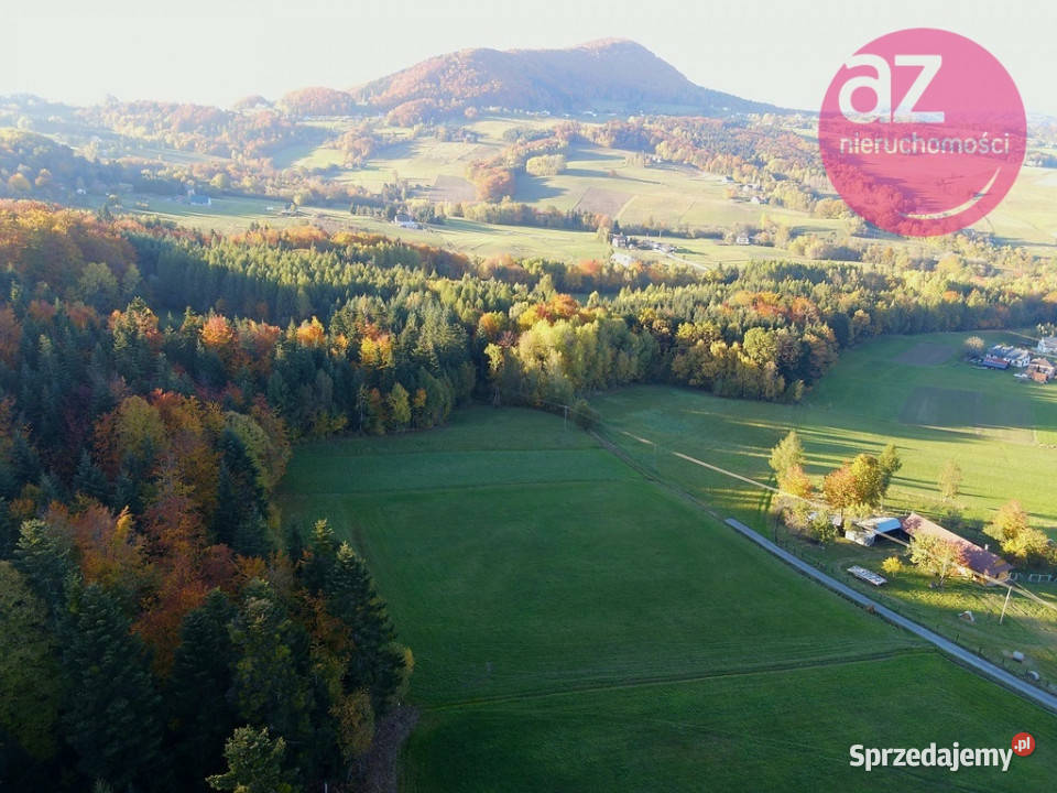 Spokój i naturaidealne miejsce pod Twój dom Ropa Sprzedaż małopolskie
