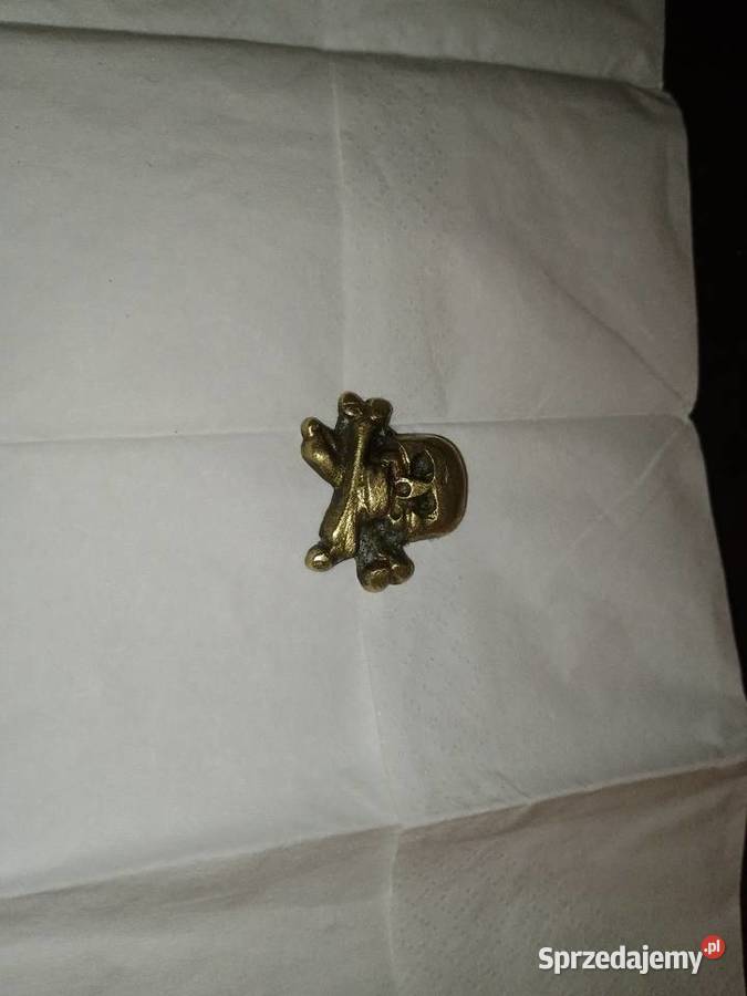 Trupia czaszka z formacji ss Warszawa