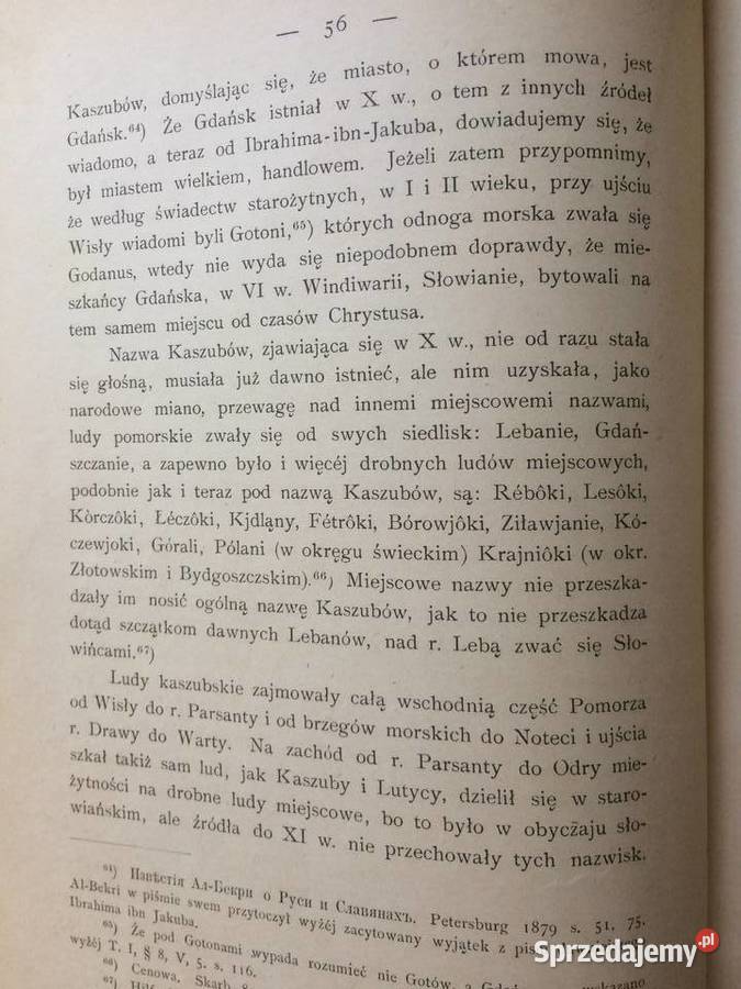 3099 Słowiańszczyzna