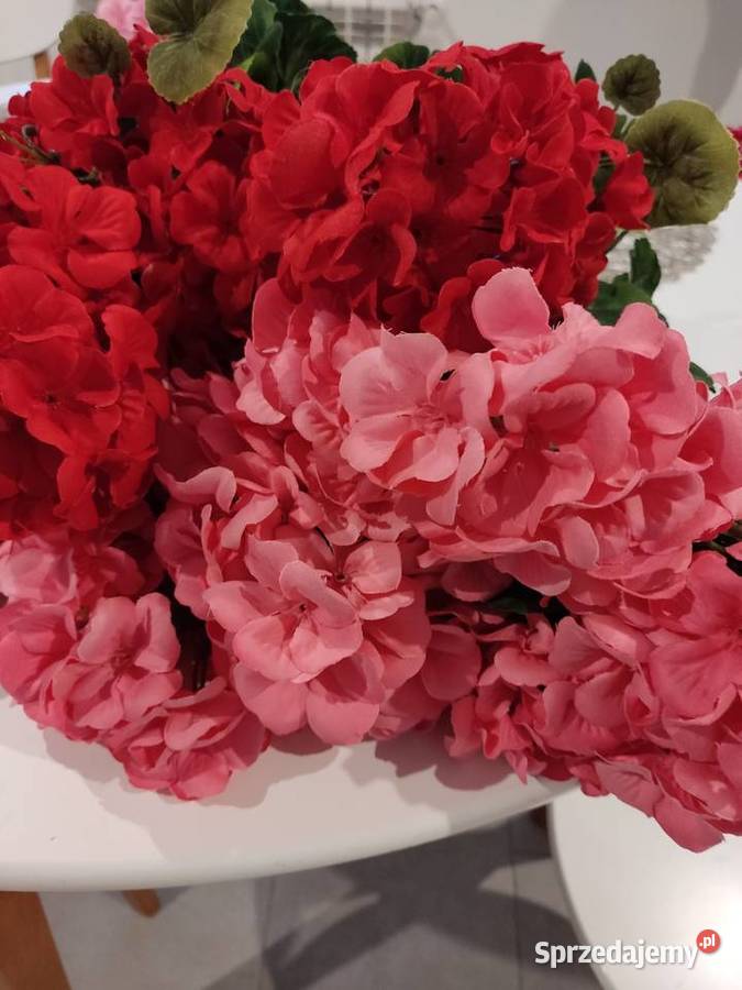 Bukiety pelargoni sztuczne zywe Dekoracje i ozdoby Dębica
