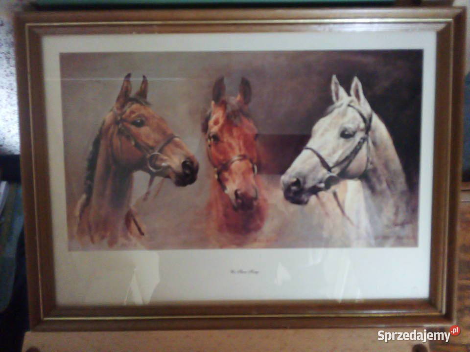 Wyprzedaż gospodarstwa domowego mazowieckie Warszawa