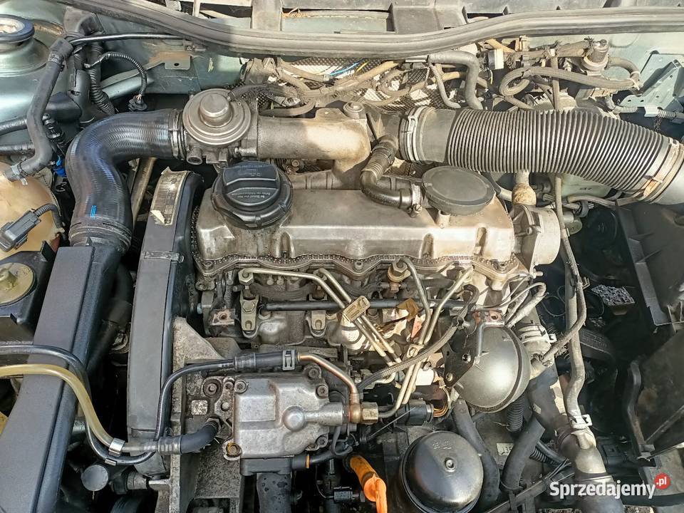 Skoda Octavia 2004r Rok produkcji 2004 warmińsko-mazurskie Kętrzyn