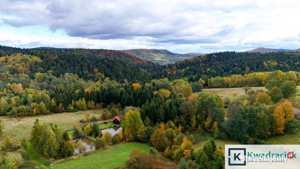 Grunt Bratkówka 2258m2 telefon