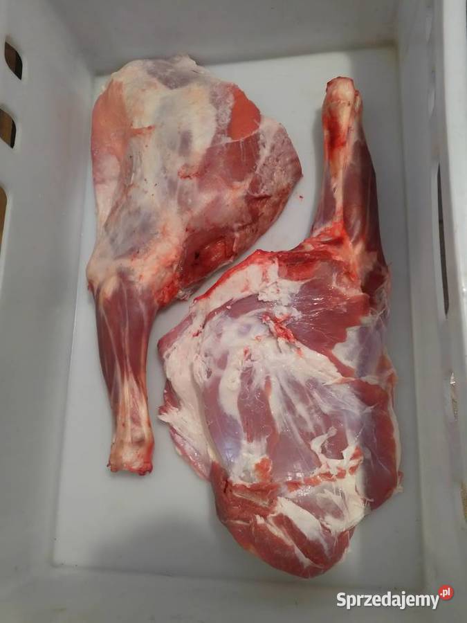 Jagnięcina świeża Czernichów