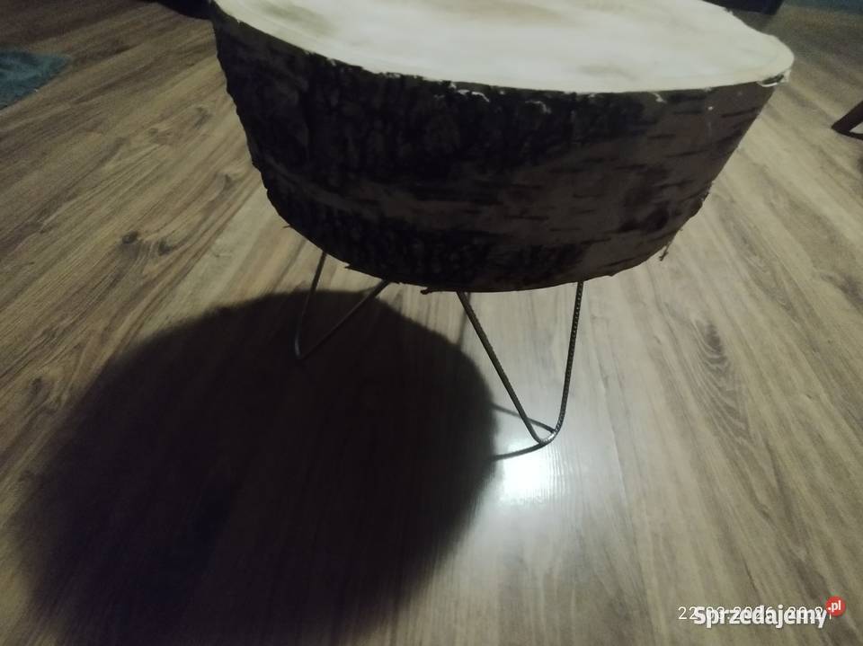 Kwietnik prawdziwe drzewo wysyłka Szubin sprzedam