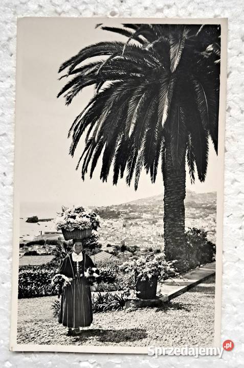 Madera Portugalia Warszawa