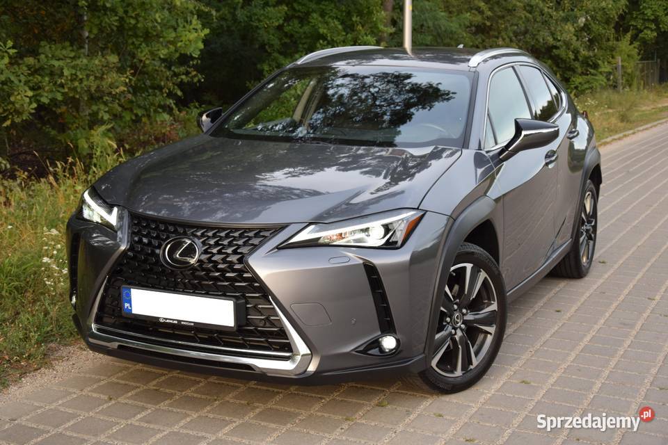LEXUS UX SALON Serwis ASo Bezwypadkowy Zielona Góra