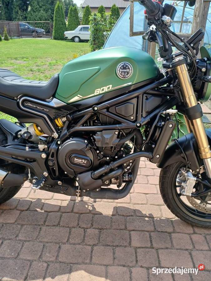Benelli Leoncino 800 Scrambler nowy Kutno